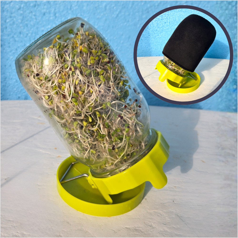 Embrobi product thumbnail for a broccoli sprouting kit used to grow fresh broccoli sprouts at home for a nourishing low-sodium lifestyle.