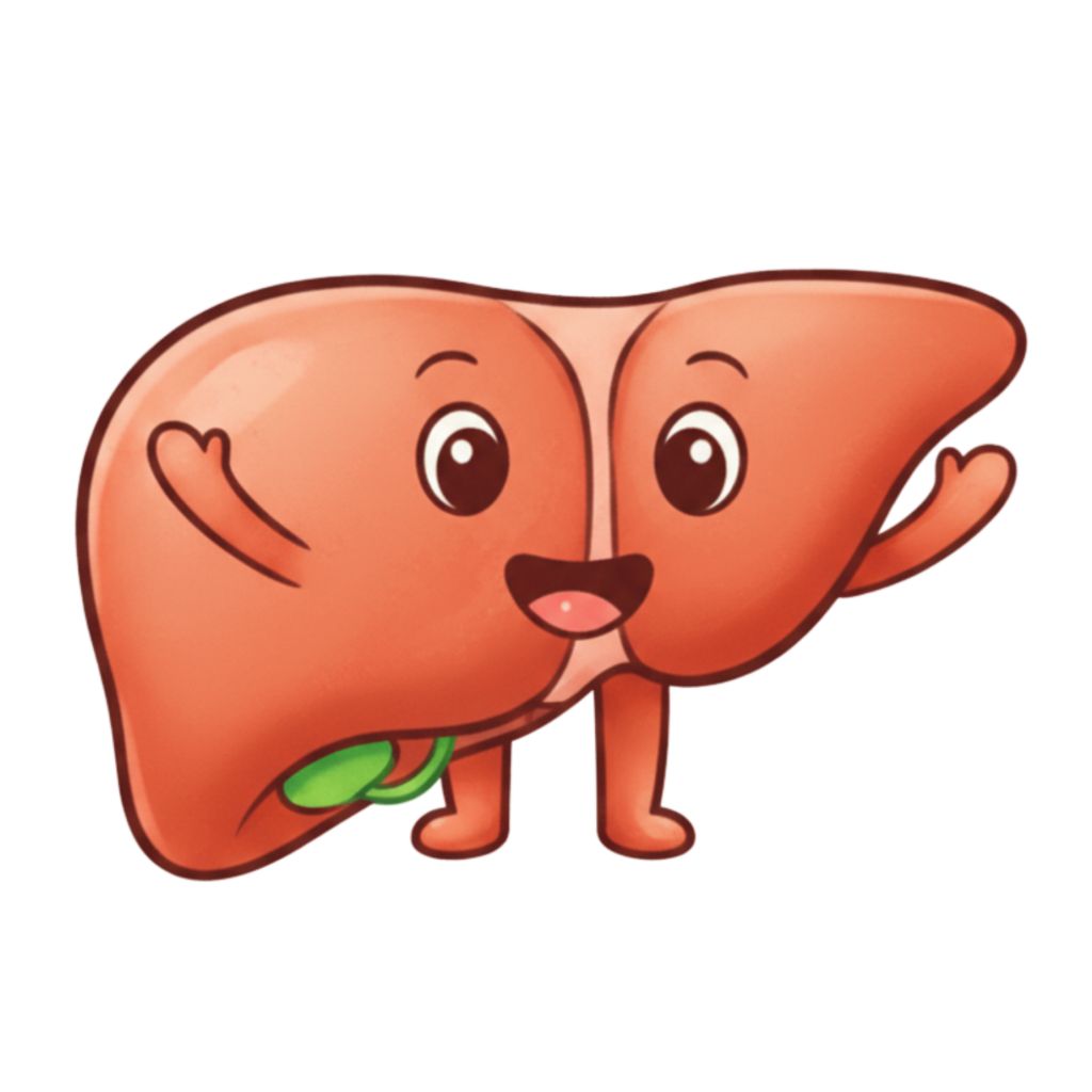 cheerful liver character