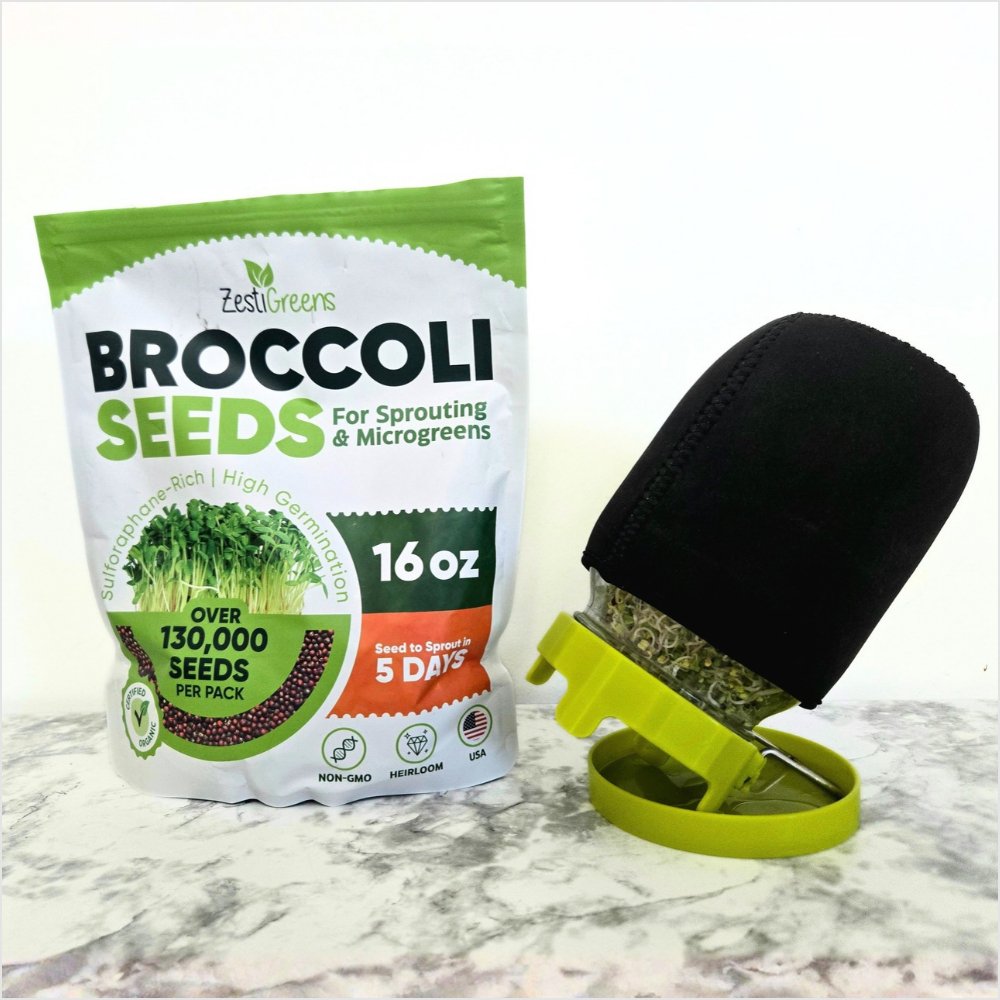 My ZestiGreens organic broccoli sprouting seeds in a 16 oz bag beside my sprouting jar in its black neoprene sleeve, with broccoli sprouts growing inside, on a marble counter.